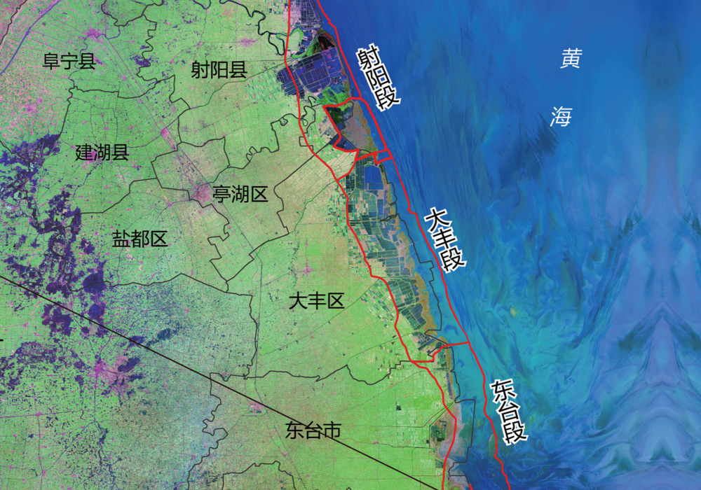 Pattern change of the coastal wetland system and its dynamic impact on the habitat of red-crowned cranes in Yancheng, Jiangsu Province