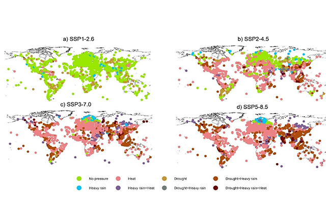 A Climate Risk Assessment Framework for World Natural Heritage Sites