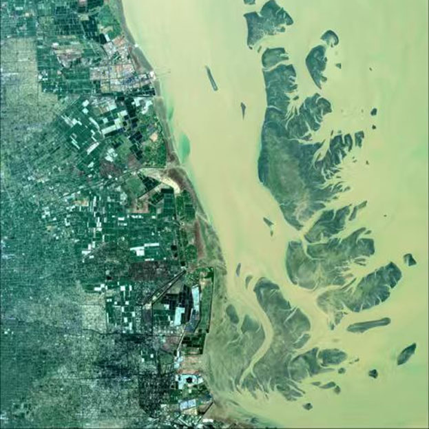 Pattern change of the coastal wetland system and its dynamic impact on the habitat of red-crowned cranes in Yancheng, Jiangsu Province