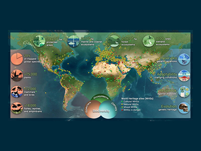 Research on Synergies between World Heritage Conservation and SDGs Implementation