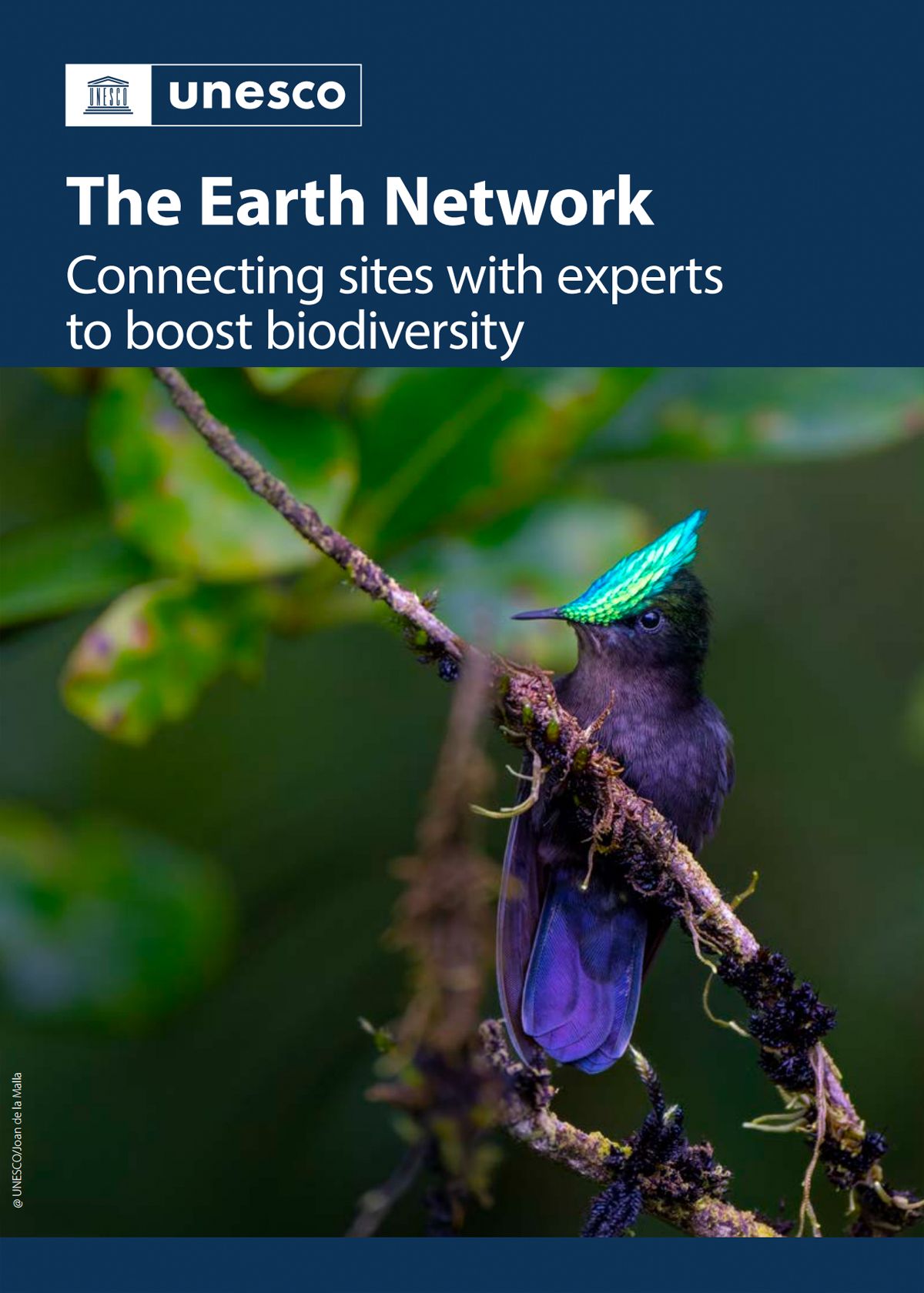 地球网络将网站与专家联系起来，以促进生物多样性