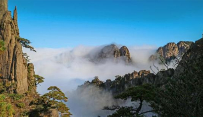 第三届UNESCO名录遗产与可持续发展黄山对话会发布《黄山共识》