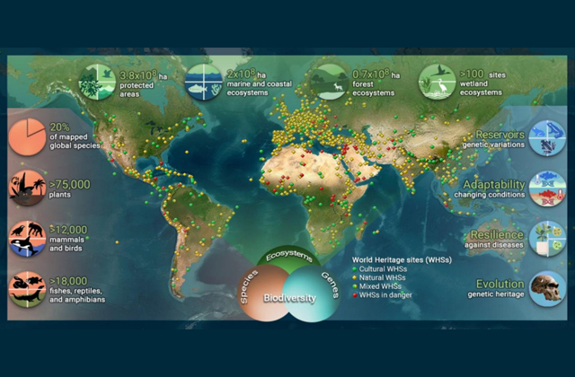 世界遗产保护与SDGs目标实现的科学认知