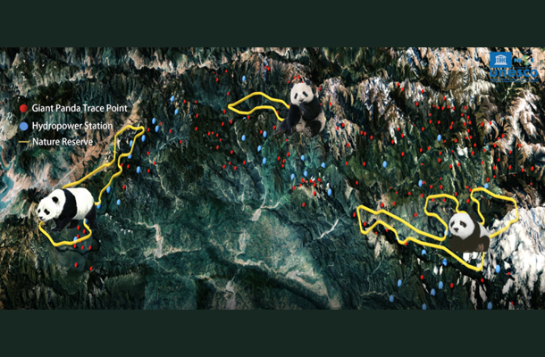 气候变化对大熊猫栖息地影响评估