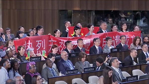 HIST代表团现场见证西夏陵列入世界遗产名录