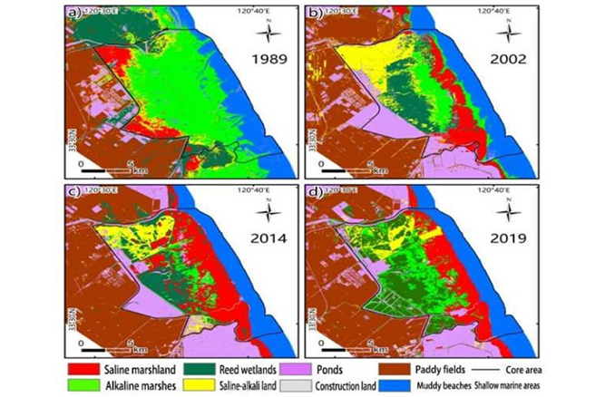 盐城生物圈保护区湿地监测保护与栖息地恢复