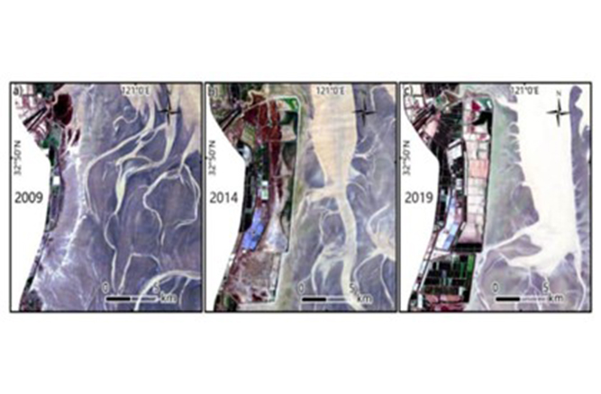 盐城生物圈保护区湿地监测保护与栖息地恢复2