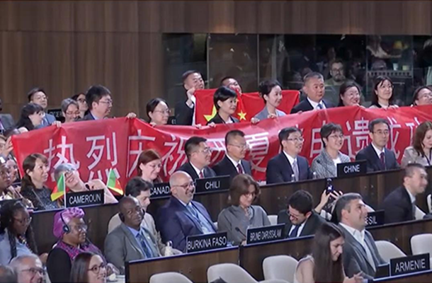 HIST代表团现场见证西夏陵列入世界遗产名录