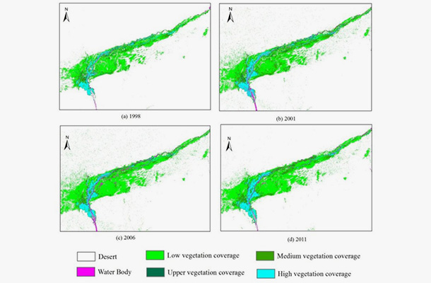 且末绿洲不同年份植被覆盖度情况