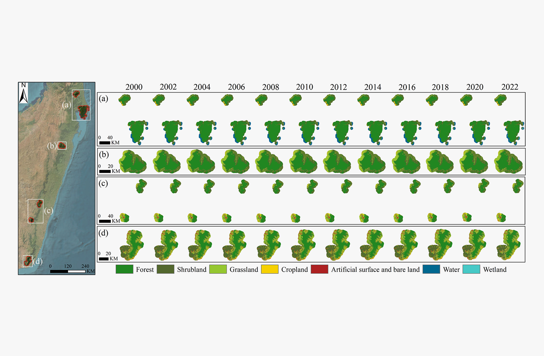Rainforest土地覆盖分类图